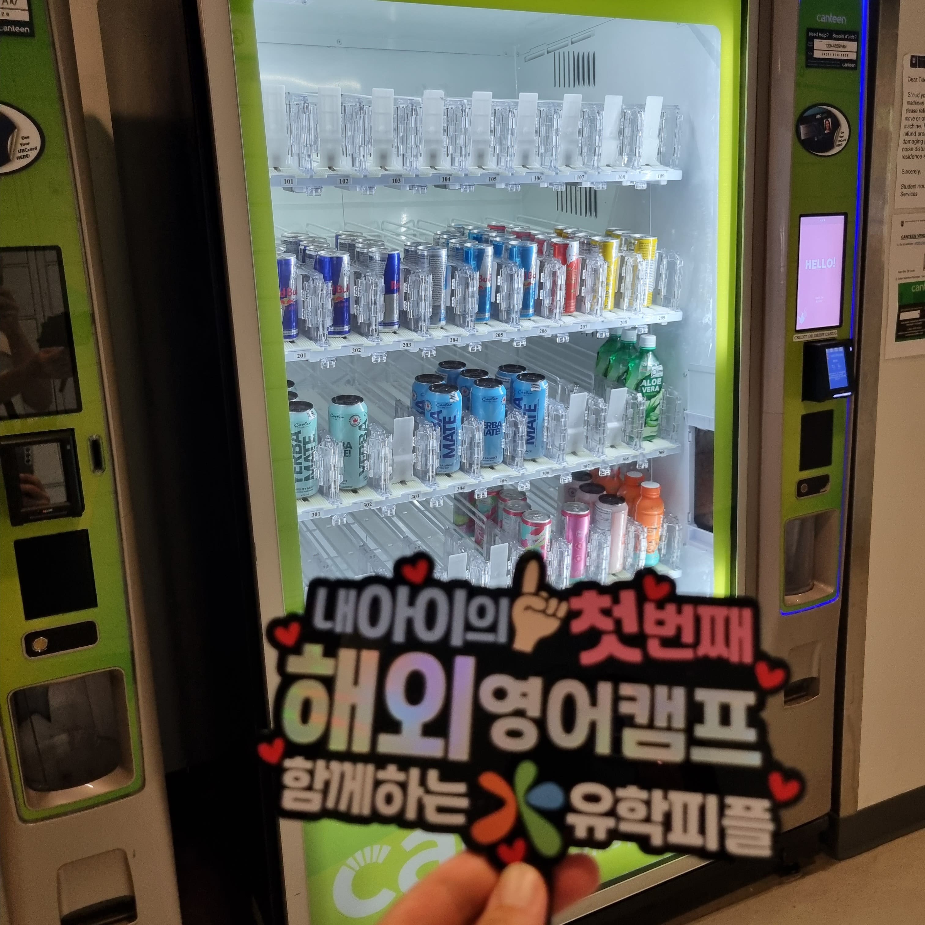 캠프 활동 사진